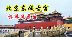 黑丝高跟极品骚母狗激情大秀中国北京-东城古宫旅游风景区